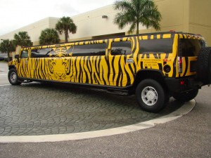 tiger hummer limo