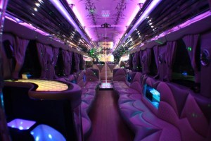 WM Limo - Party Bus